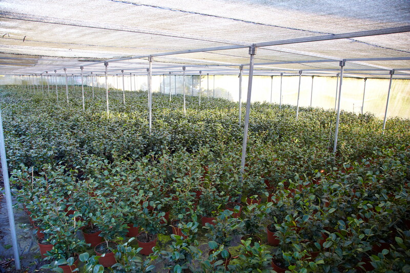 Imaxe establecemento 