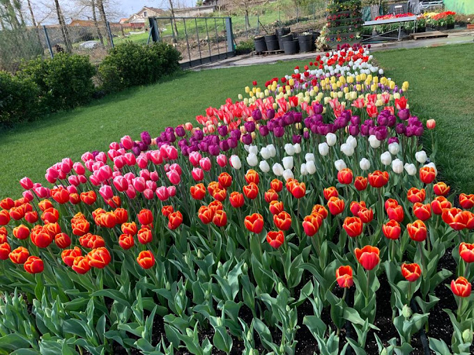 Imaxe establecemento 