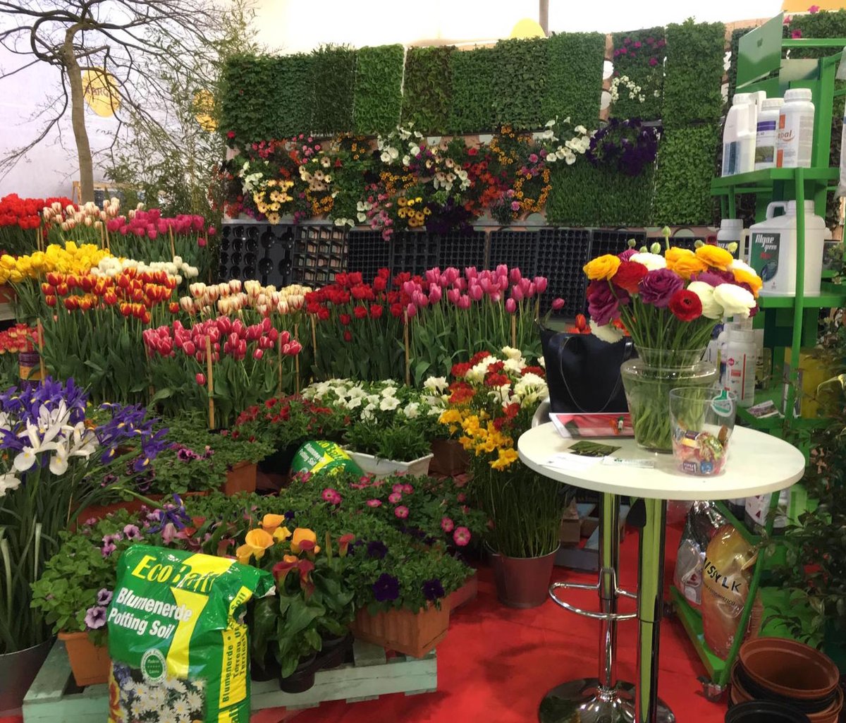 Imaxe establecemento 