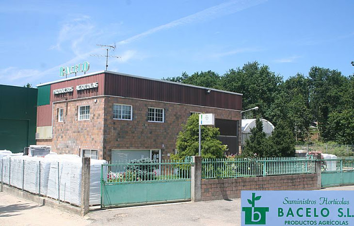 Imaxe establecemento 