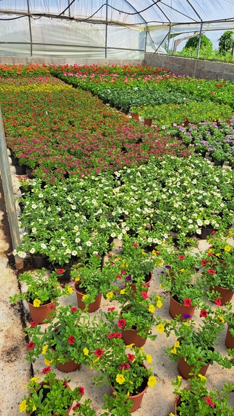 Imaxe establecemento 