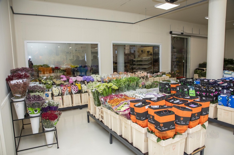 Imaxe establecemento