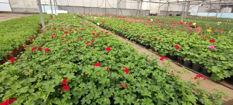 Imaxe establecemento 