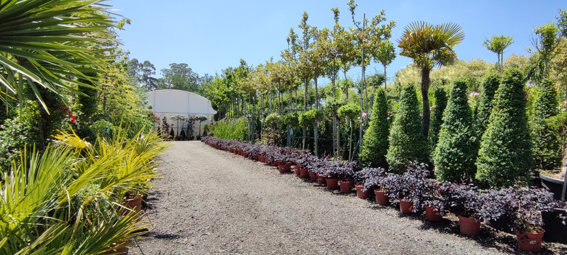 Imaxe establecemento 