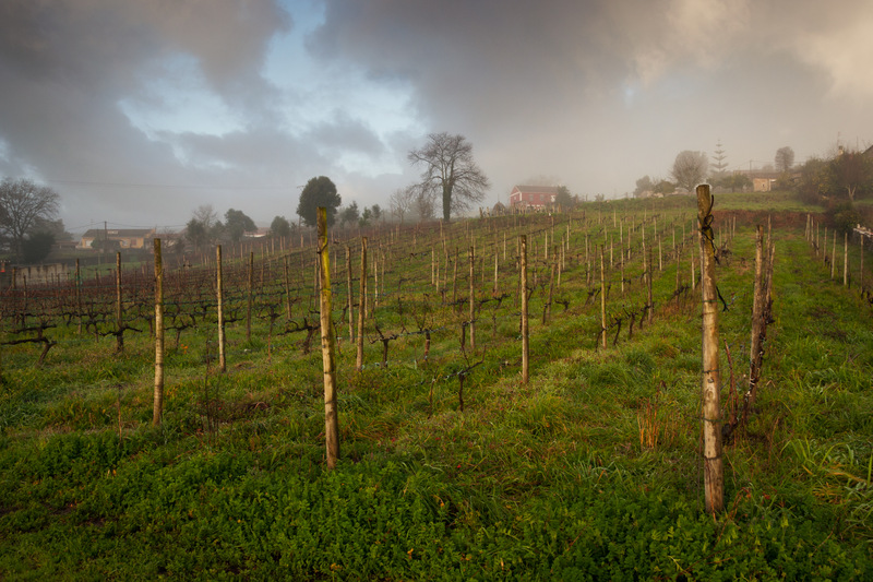 Imaxe establecemento 