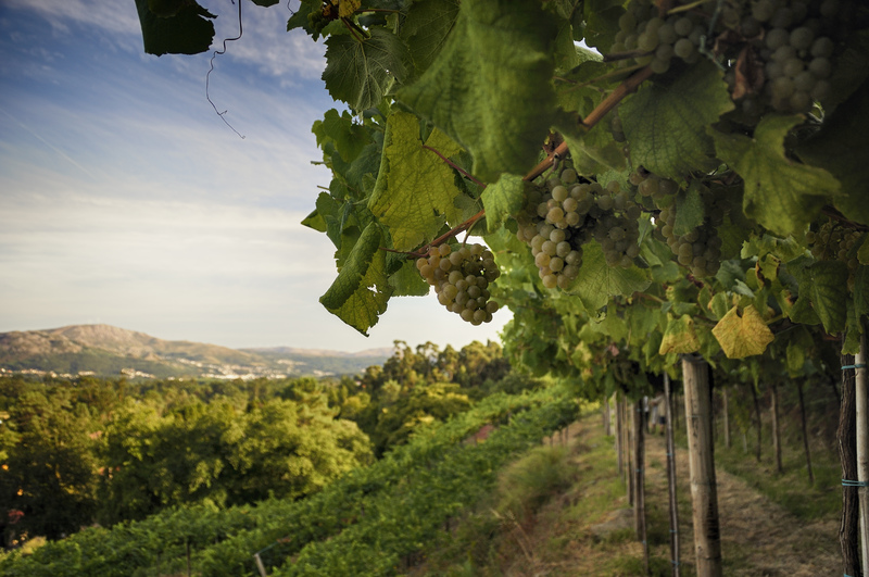 Imaxe establecemento 