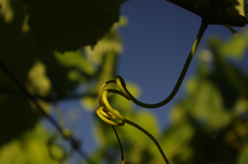 Imaxe establecemento 