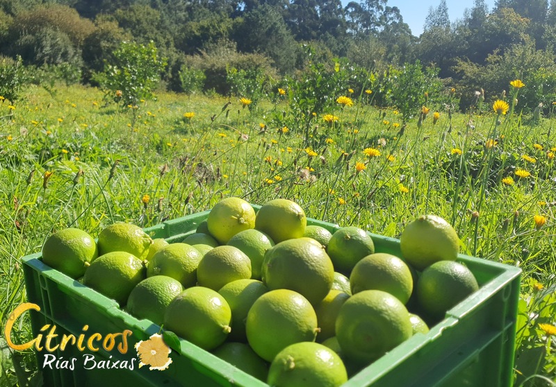 Imaxe establecemento 