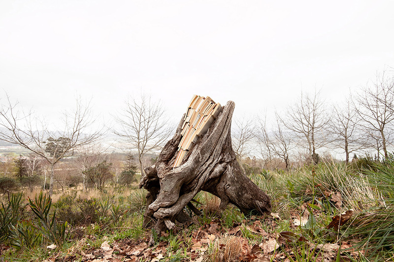 Imaxe establecemento 