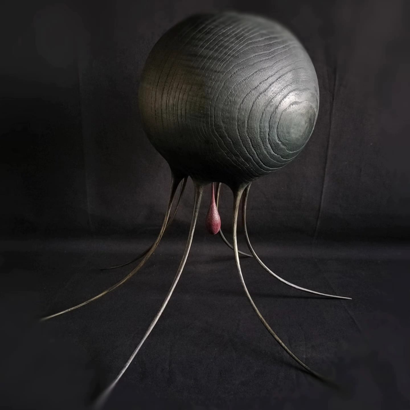 Imaxe establecemento