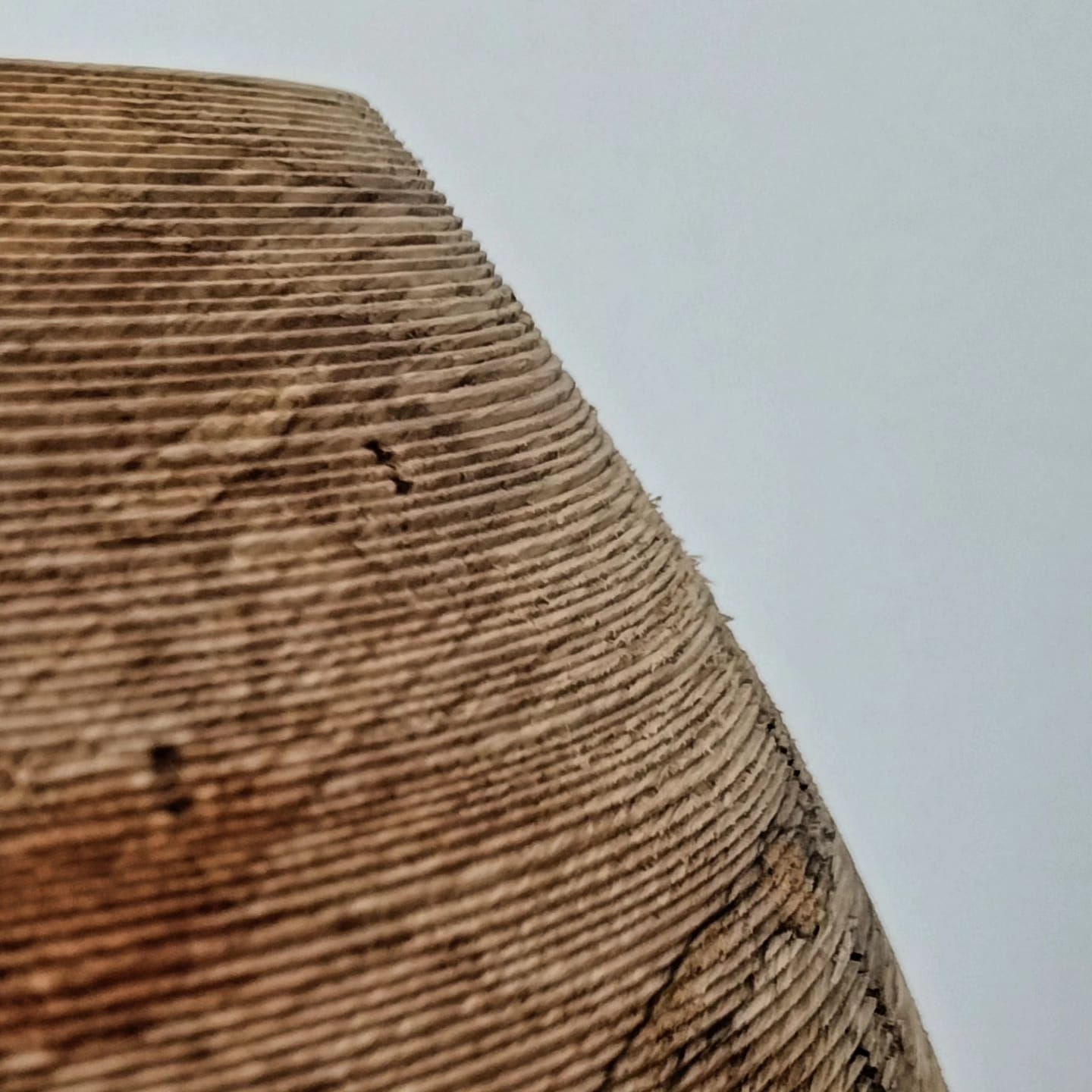 Imaxe establecemento 