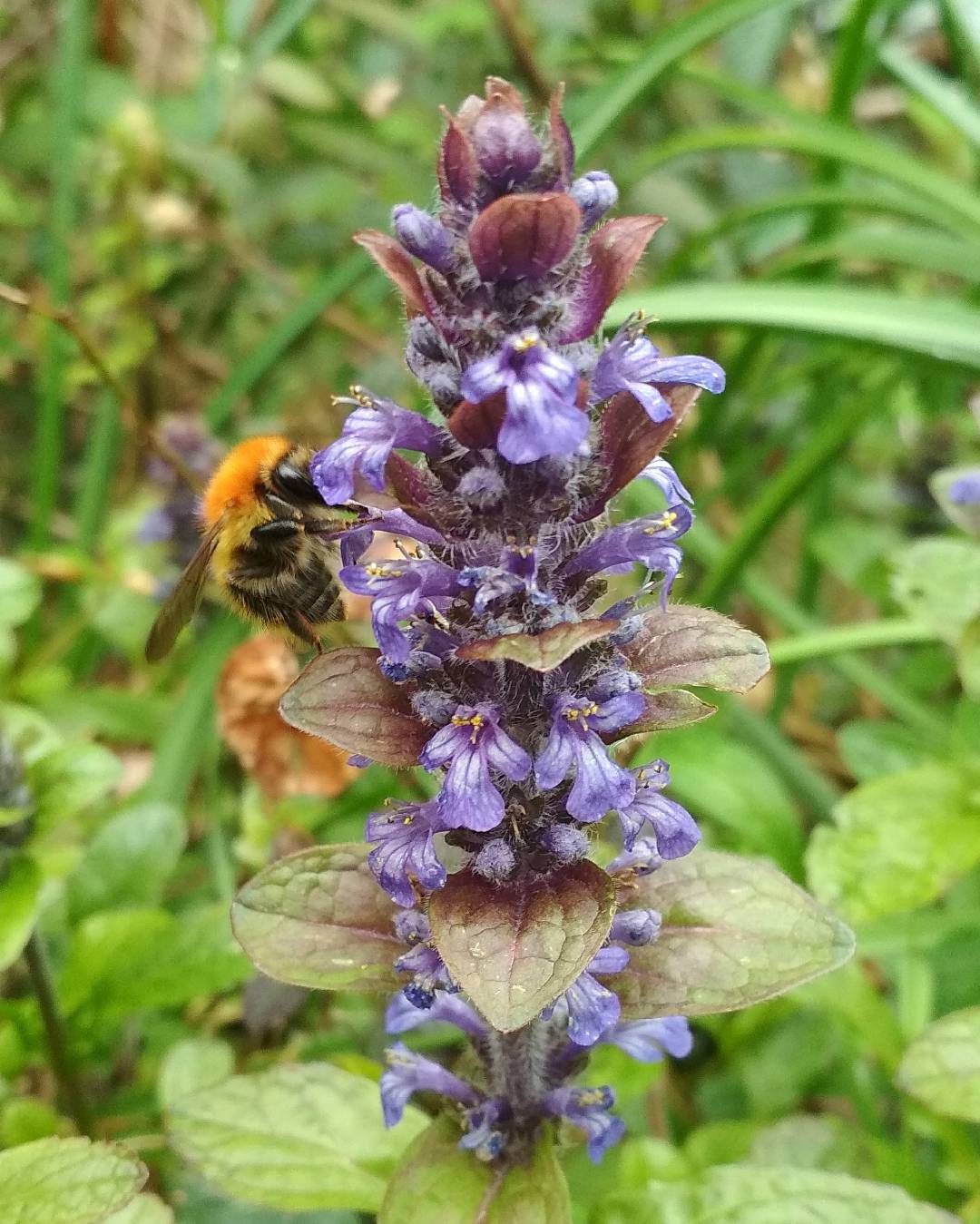 Imaxe establecemento