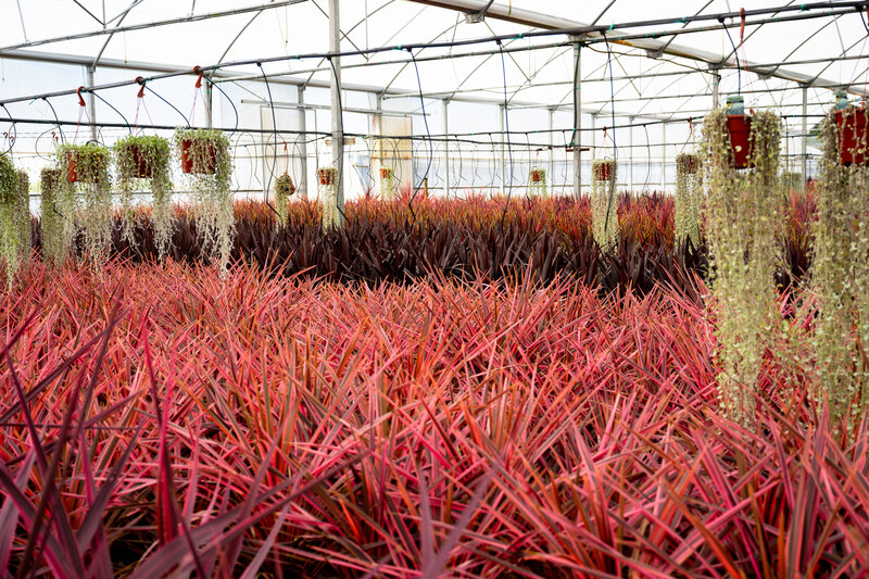 Imaxe establecemento 