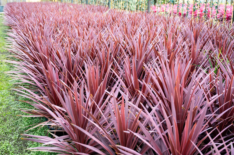 Imaxe establecemento 