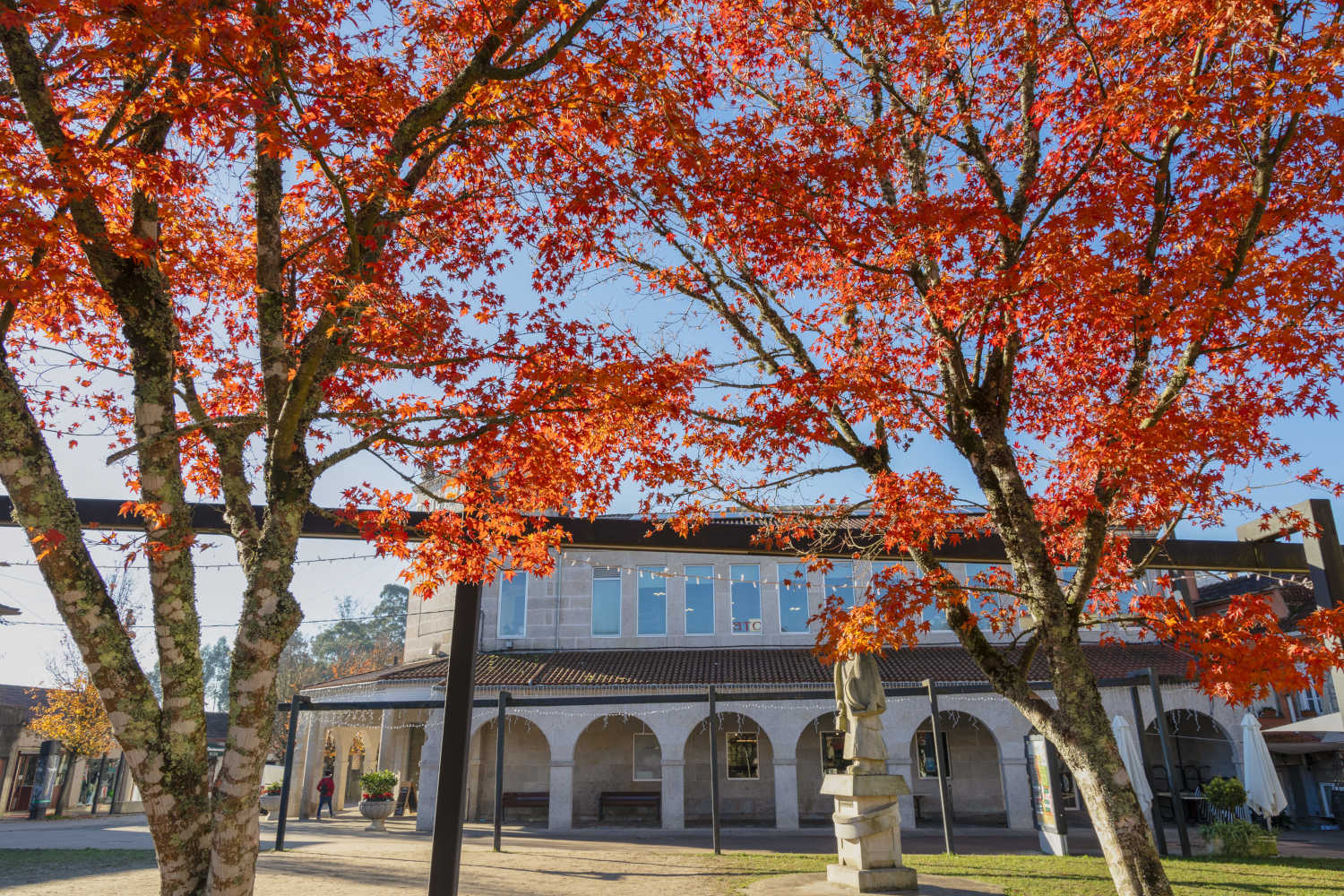 Imaxe establecemento